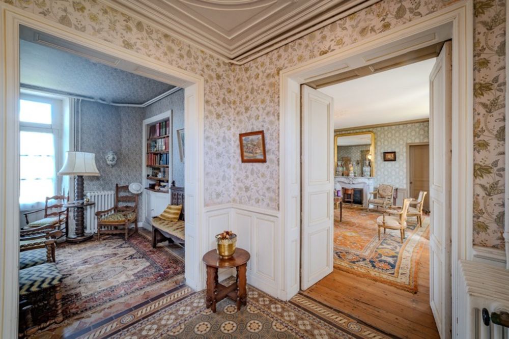 � vendre  Propri�t�/ch�teau Cognac (16100)