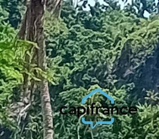  Terrain � vendre 73480 m�