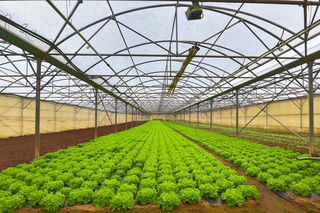  Propri�t�/ch�teau � vendre 4 pi�ces 120 m�