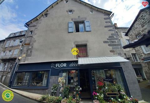   Immeuble centre ville Historique Appartement - 5 pi�ce(s) - 71 m�