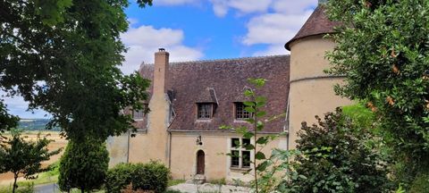   Magnifique manoir renaissance Propri�t�/ch�teau - 4 pi�ce(s) - 154 m�