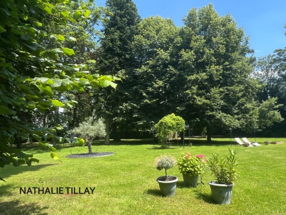 � vendre  Propri�t�/ch�teau Saint-Jean-le-Blanc (45650)