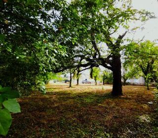  Terrain � vendre 834 m�