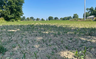  Terrain � vendre 9678 m�