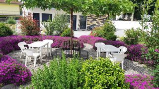  Appartement � louer 1 pi�ce 12 m�