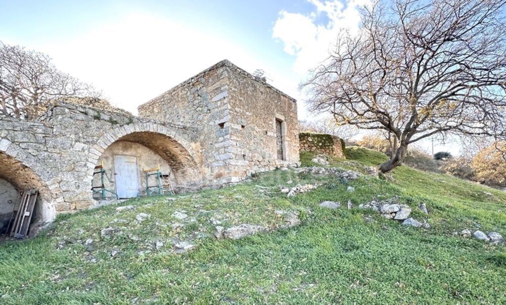 � vendre  Propri�t�/ch�teau Cateri (20225)