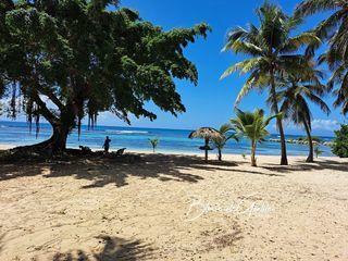  Appartement � vendre 1 pi�ce 35 m�