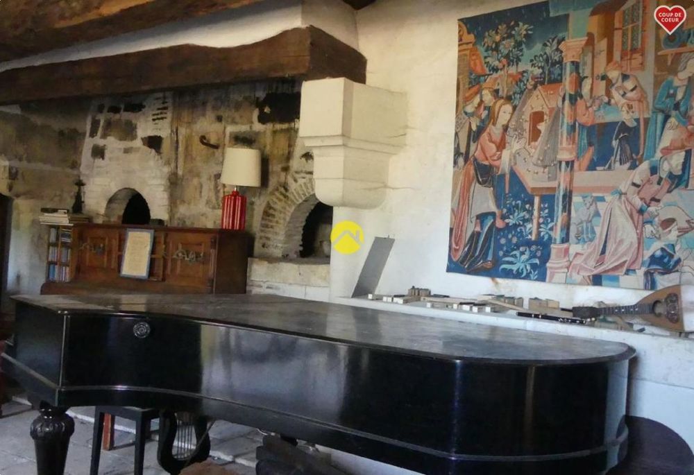 � vendre  Propri�t�/ch�teau Langeais (37130)