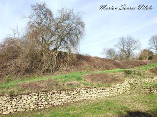  Terrain � vendre 2976 m�