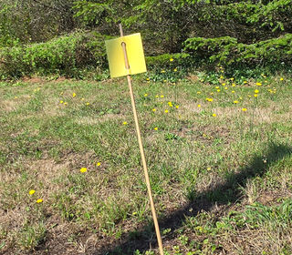  Terrain � vendre 1068 m�