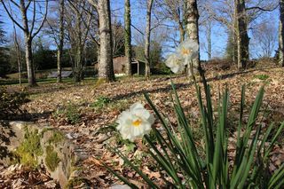  Maison � vendre 10 pi�ces 200 m�