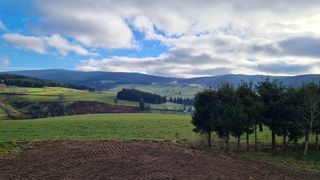  Maison � vendre 5 pi�ces 175 m�