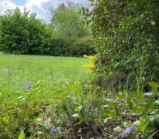  Terrain � vendre 600 m�