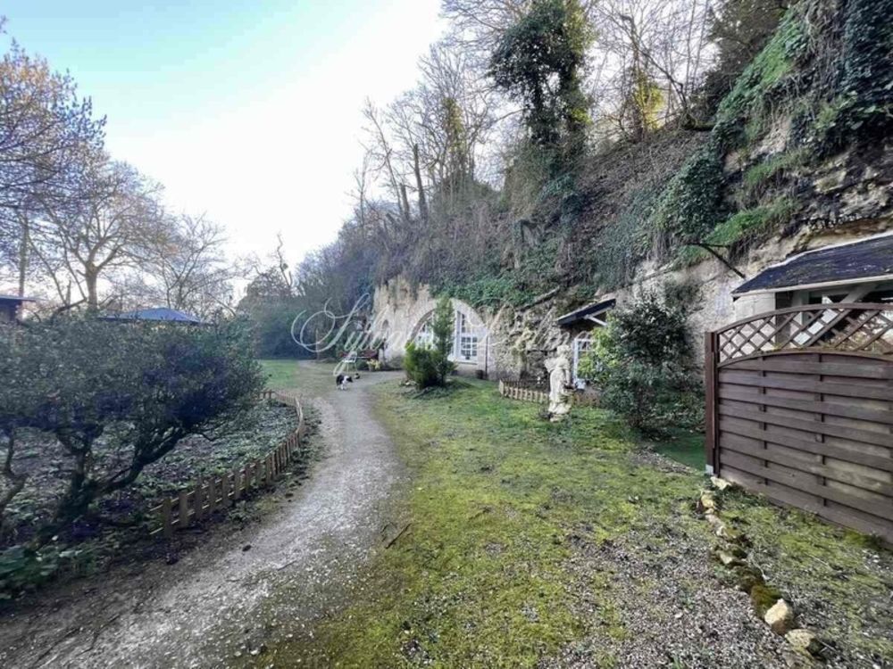 � vendre  Propri�t�/ch�teau Amboise (37400)
