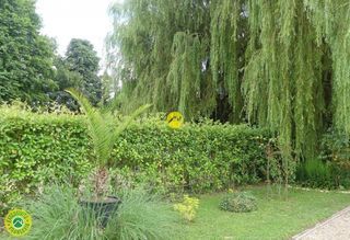  Terrain � vendre 530 m�