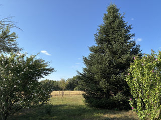  Terrain � vendre 1842 m�