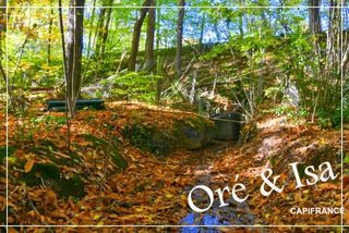  Terrain � vendre 49655 m�