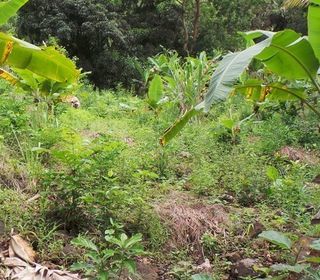  Terrain � vendre 3328 m�