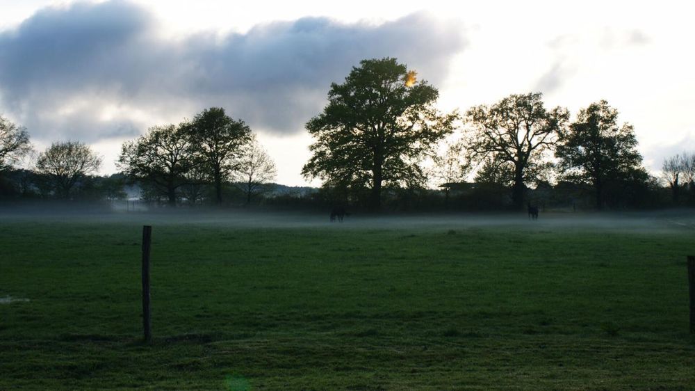 � vendre  Propri�t�/ch�teau Sigloy (45110)