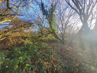  Terrain � vendre 62680 m�