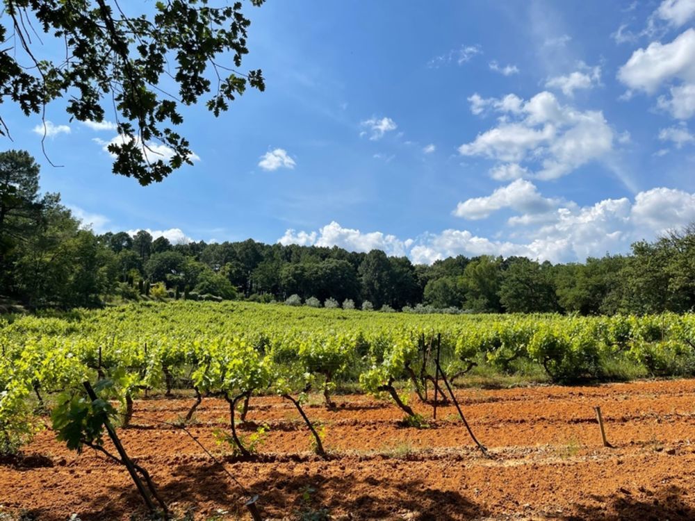 � vendre  Maison Roussillon (84220)