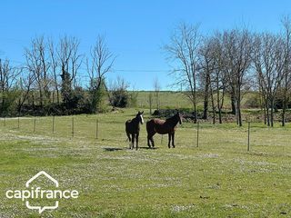  Maison � vendre 12 pi�ces 291 m�