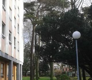  Appartement � louer 1 pi�ce 17 m�