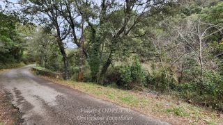  Terrain � vendre 41460 m�