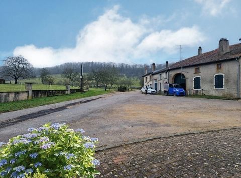   Axe VEZELISE / GIRONCOURT-SUR-VRAINE - 2 maisons de village avec d�pendances � r�nover / 1000 m2 env Terrain Ferme - 10 pi�ce(s) - 250 m�