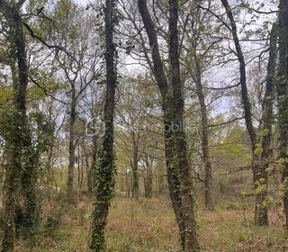  Terrain � vendre 2700 m�