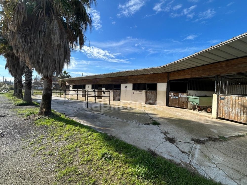 � vendre  Maison Frontignan (34110)