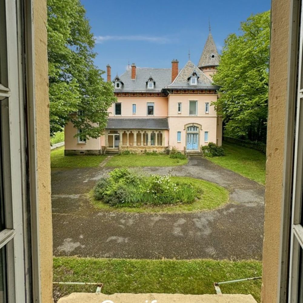 � vendre  Propri�t�/ch�teau Eyzin-Pinet (38780)