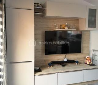  Duplex/triplex � vendre 3 pi�ces 42 m�