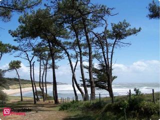  Appartement � vendre 2 pi�ces 50 m�