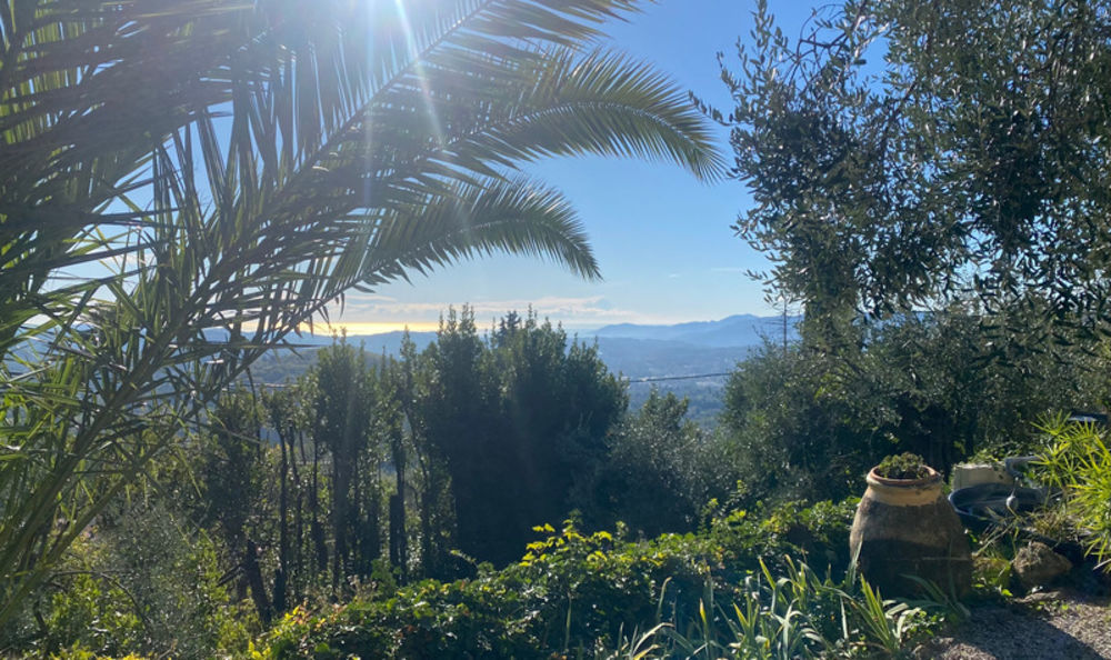 � vendre  Propri�t�/ch�teau Magagnosc (06520)