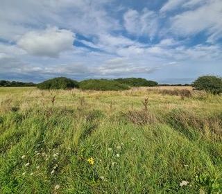  Terrain � vendre 1807 m�