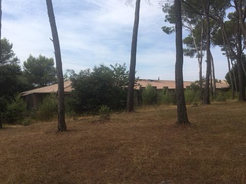   Clapiers - Studio Terrasse dans pin�de Appartement - 1 pi�ce(s) - 25 m�