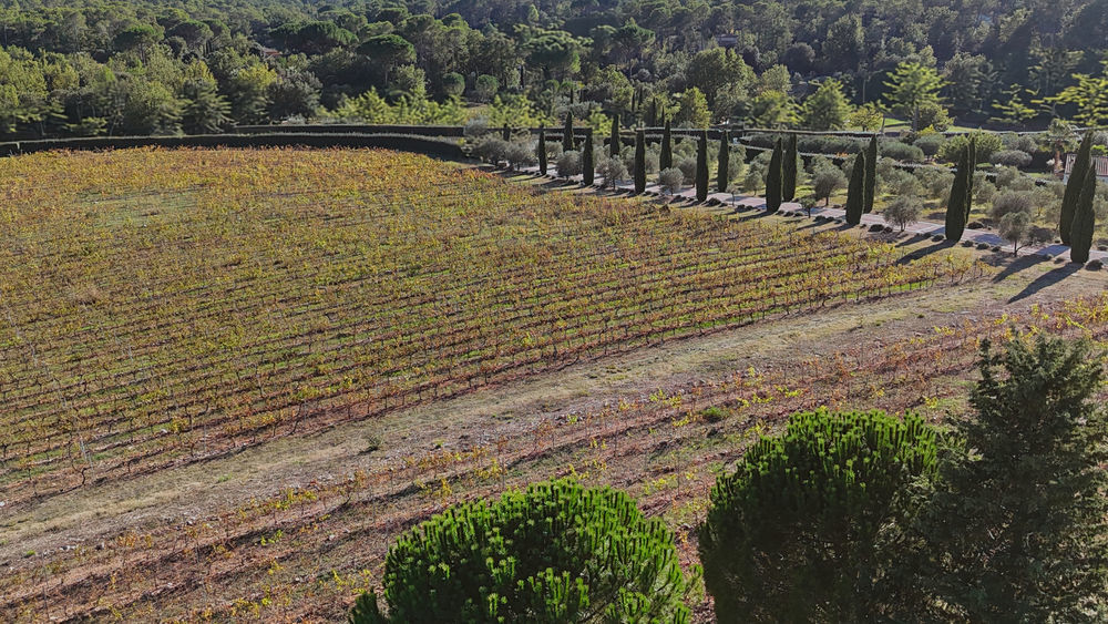 � vendre  Propri�t�/ch�teau Les Arcs (83460)