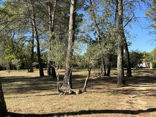  Propri�t�/ch�teau � vendre 10 pi�ces 293 m�