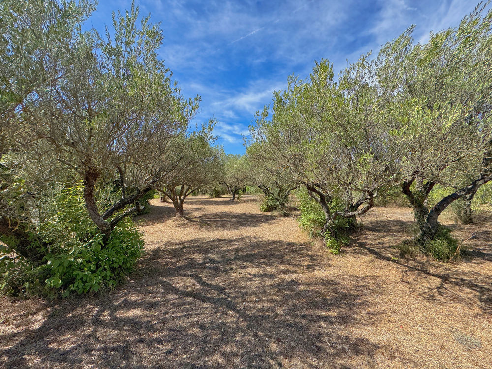 � vendre  Maison Lorgues (83510)