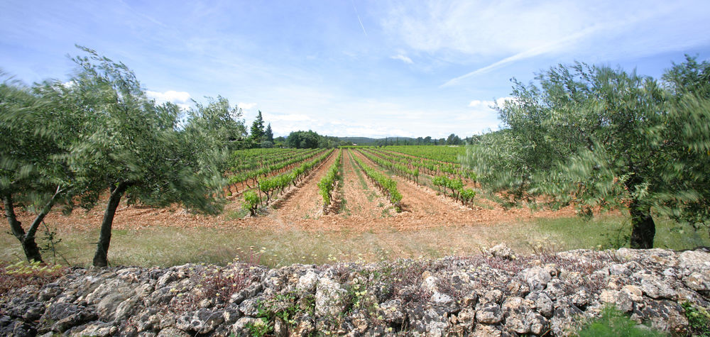 � vendre  Propri�t�/ch�teau Cotignac (83570)