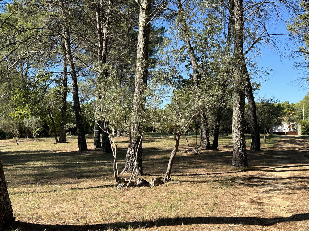 � vendre  Propri�t�/ch�teau Les Arcs (83460)