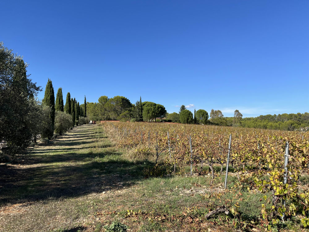 � vendre  Propri�t�/ch�teau Les Arcs (83460)