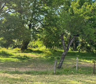  Terrain � vendre 2958 m�