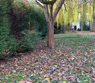  Maison � vendre 2 pi�ces 149 m�