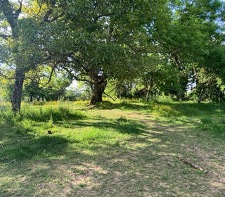  Terrain � vendre 2958 m�