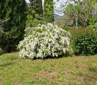  Maison � vendre 3 pi�ces 43 m�