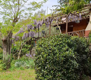  Maison � vendre 3 pi�ces 43 m�