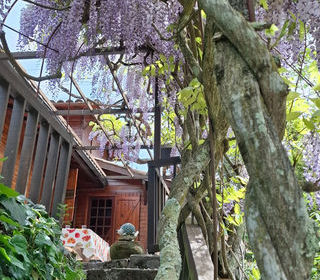  Maison � vendre 3 pi�ces 43 m�