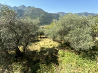  Maison � vendre 6 pi�ces 265 m�